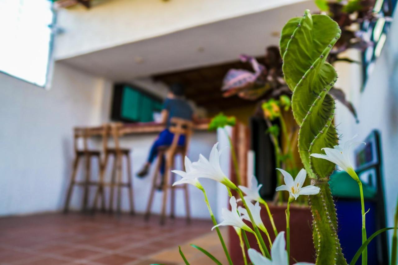 Aluna Hostel B&B Santa Marta  Exterior foto